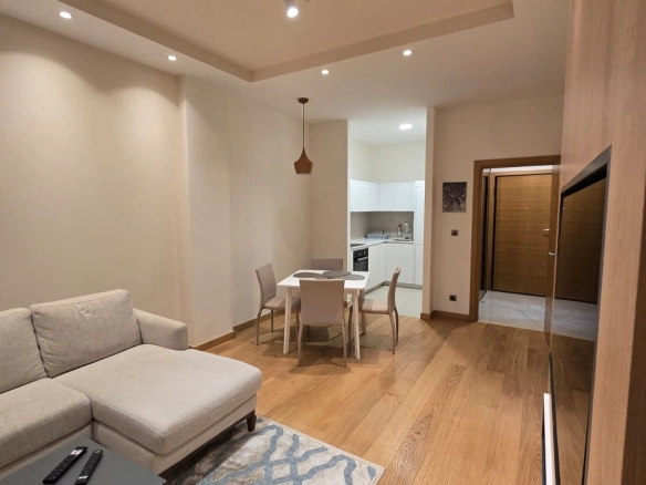 Izdavanje: Jednosoban stan 48 m² – Kruševac, Podgorica — fotografija 5