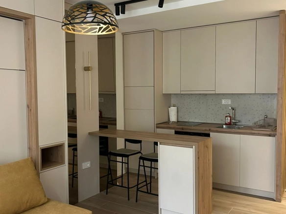 Izdavanje: Garsonjera 24 m² – Preko Morače, Podgorica — fotografija 15