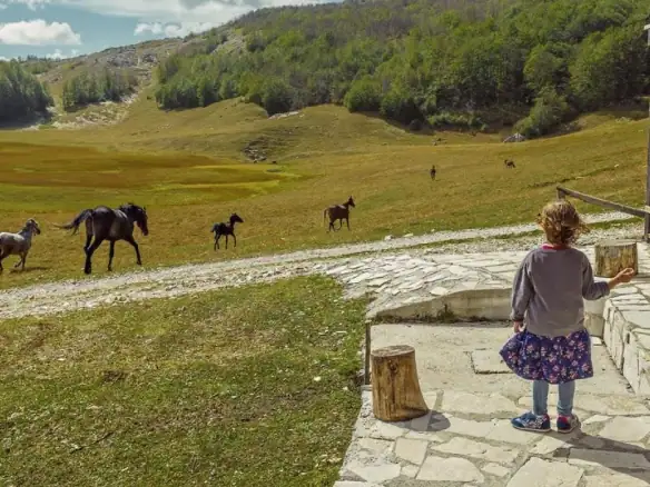 Kuća sa pet spavaćih soba na Žabljaku