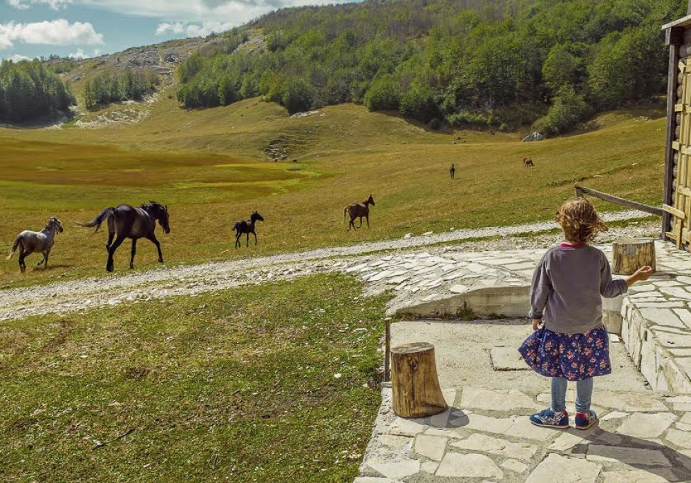 Kuca-sa-pet-spavacih-soba-na-Zabljaku-Durmitor Kuća sa pet spavaćih soba na Žabljaku