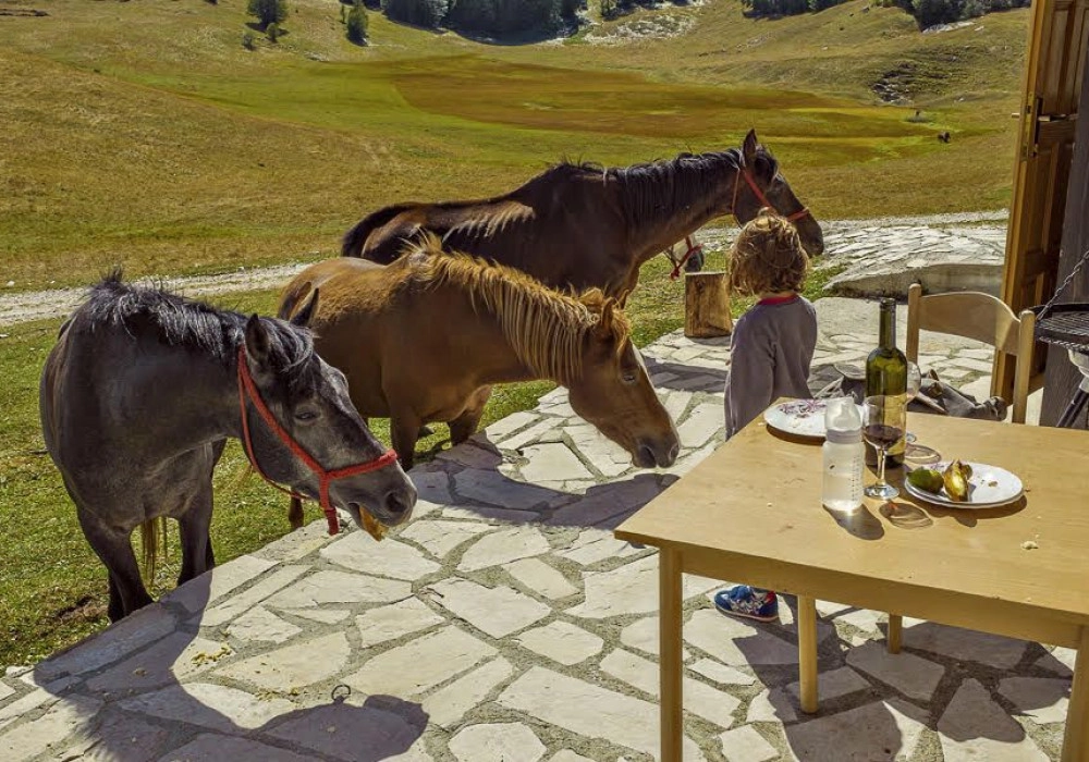 Kuca-sa-pet-spavacih-soba-na-Zabljaku-Durmitor-1 Kuća 210 m² – Žabljak — fotografija 2