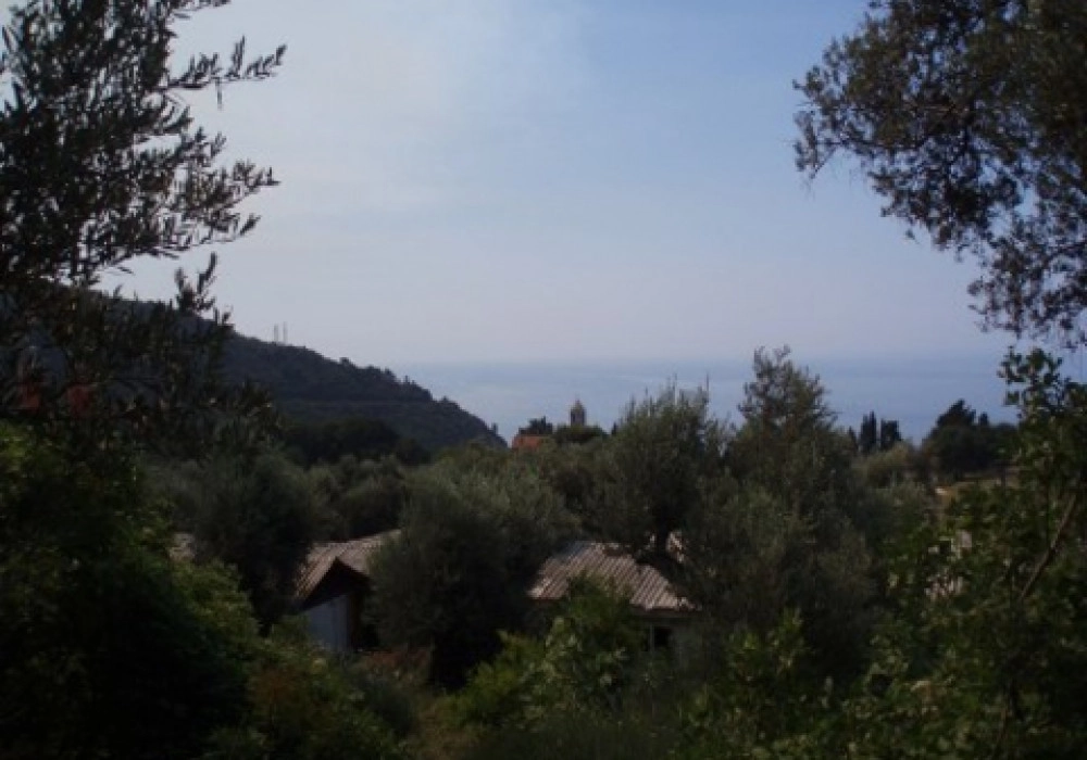Plac-3561-m²-u-Rezevicima-Budva Plac 3561 m² u Reževićima