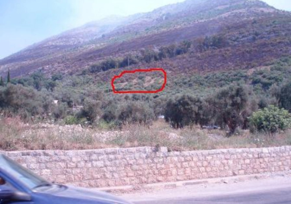 Plac-3561-m²-u-Rezevicima-Budva-1 Plac 3.561 m² – Reževići, Budva — fotografija 2
