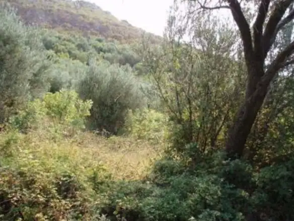 Plac 3.561 m² – Reževići, Budva — fotografija 3