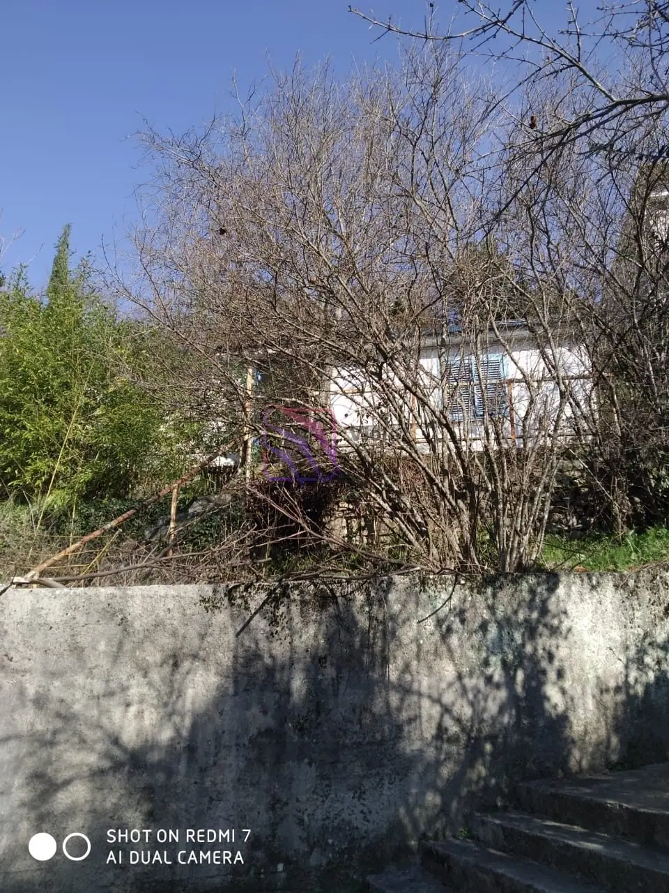Plac-s-pogledom-na-more-u-DJenovicima-Herceg-Novi-1 Plac 276 m² – Đenovići, Herceg Novi — fotografija 2