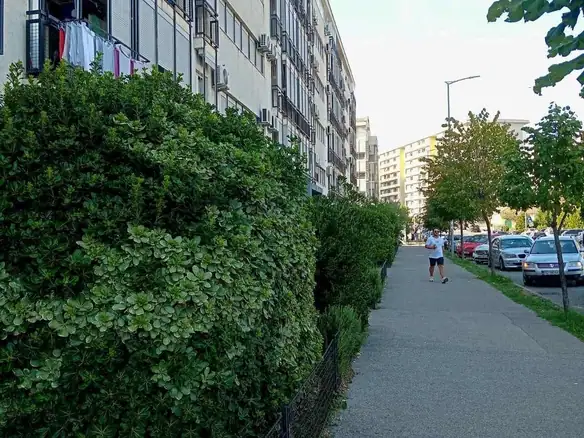 Izdavanje: Jednosoban stan 35 m² – City kvart, Podgorica — fotografija 3