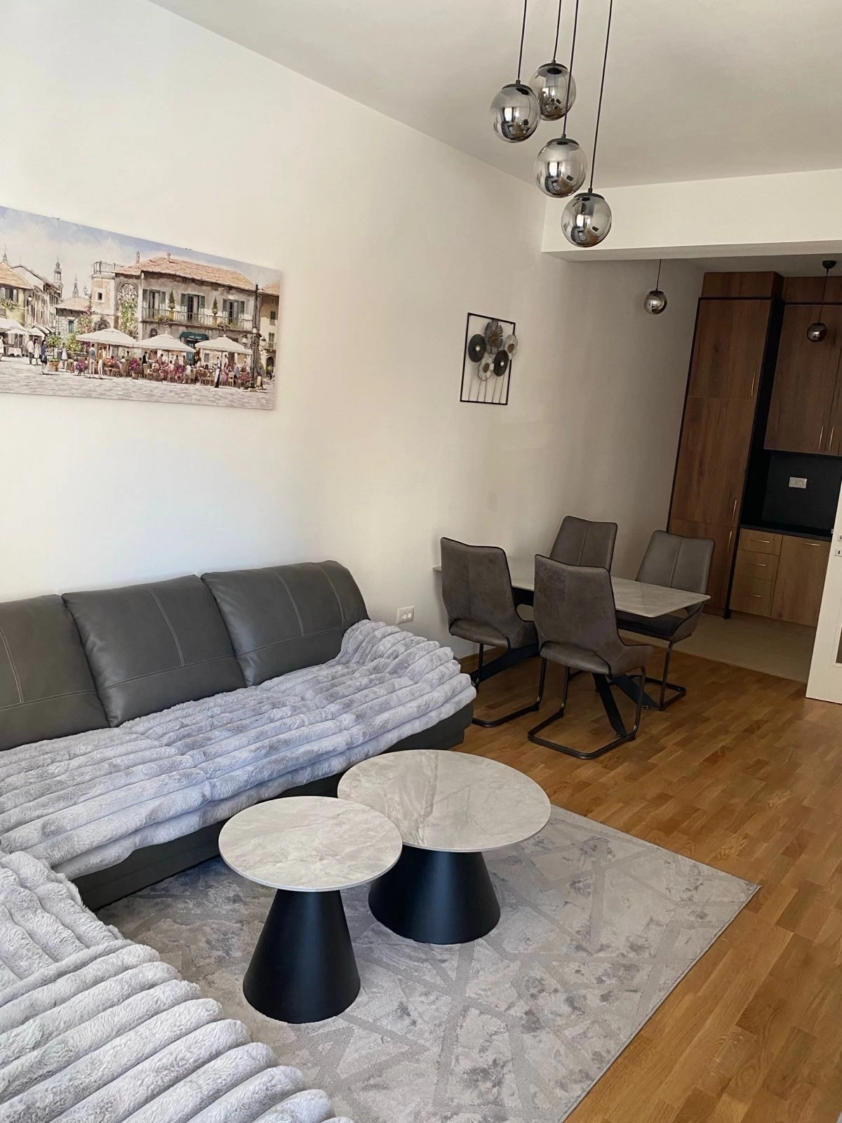 Jednosoban-stan-u-naselju-Zabjelo-Podgorica-7 Namješten jednosoban stan, Zabjelo, Podgorica — fotografija 8