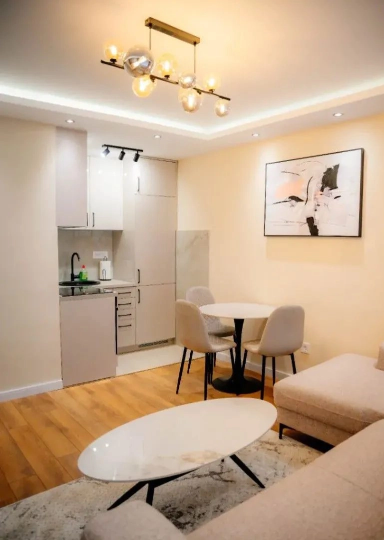 Jednosoban-stan-Preko-Morace-Podgorica-6 Izdavanje: Jednosoban stan 35 m² – Preko Morače, Podgorica — fotografija 7