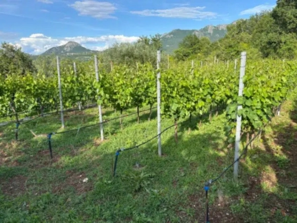 Kuća 200 m² – Virpazar, Bar — fotografija 6