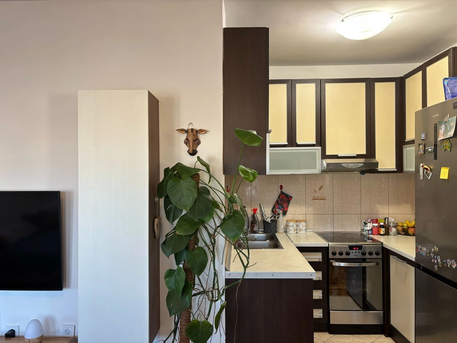 Dvosoban stan 61 m² – Tološi, Podgorica — fotografija 3