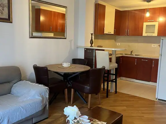 Izdavanje: Jednosoban stan 47 m² – Preko Morače, Podgorica — fotografija 2