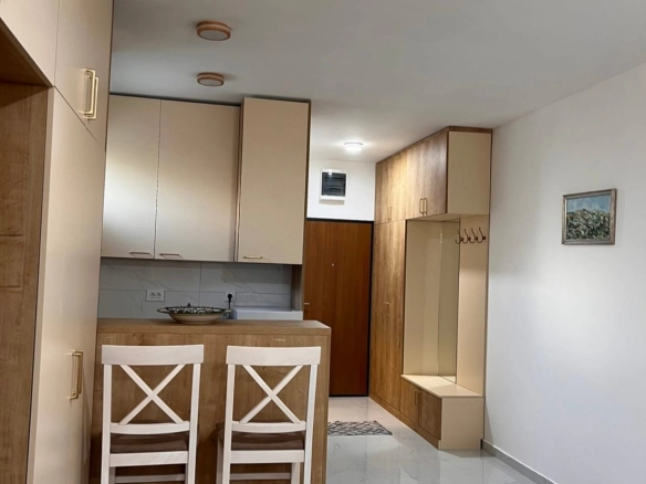 Garsonjera 30 m² u naselju Zabjelo, Podgorica — fotografija 4