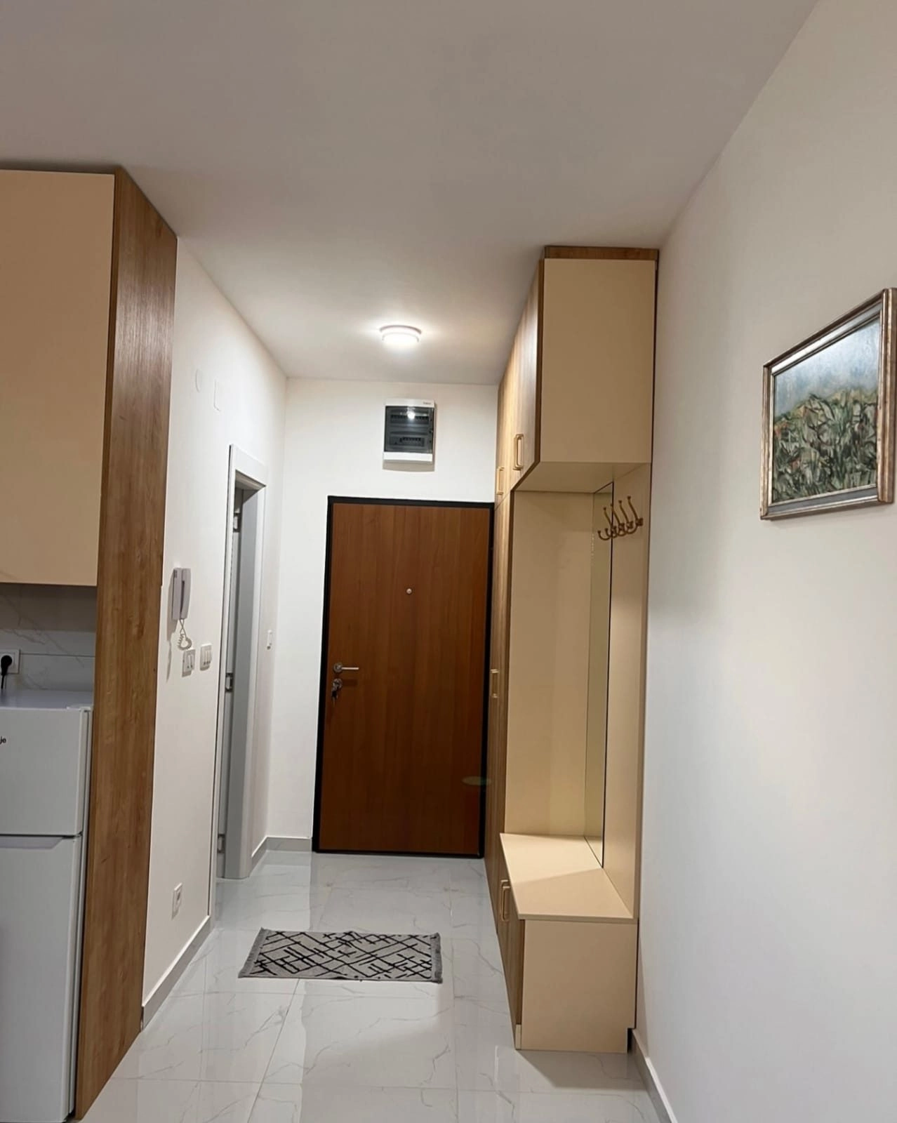 Garsonjera-30-m²-na-Zabjelu-Podgorica-7 Garsonjera 30 m² u naselju Zabjelo, Podgorica — fotografija 8