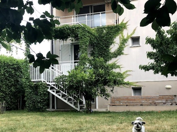 Izdavanje: Kuća 240 m² – Donja Gorica, Podgorica — fotografija 3