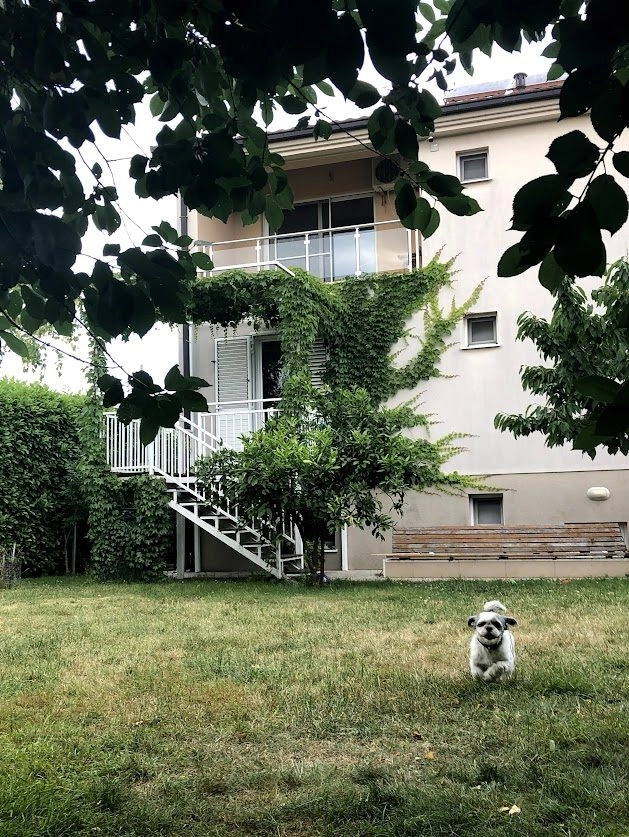 Kuca-za-izdavanje-u-Donjoj-Gorici-Podgorica-2 Izdavanje: Kuća 240 m² – Donja Gorica, Podgorica — fotografija 3
