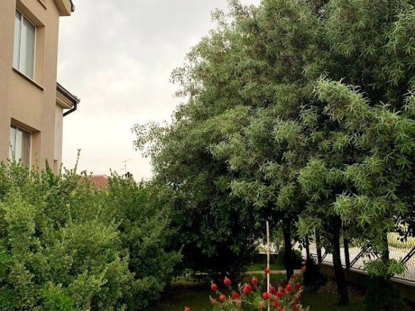 Izdavanje: Kuća 240 m² – Donja Gorica, Podgorica — fotografija 6
