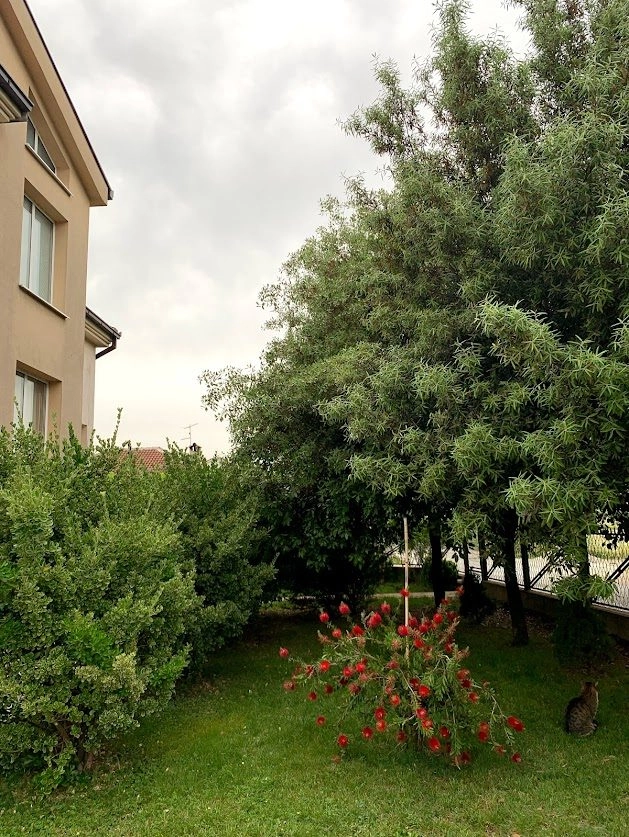 Kuca-za-izdavanje-u-Donjoj-Gorici-Podgorica-5 Izdavanje: Kuća 240 m² – Donja Gorica, Podgorica — fotografija 6