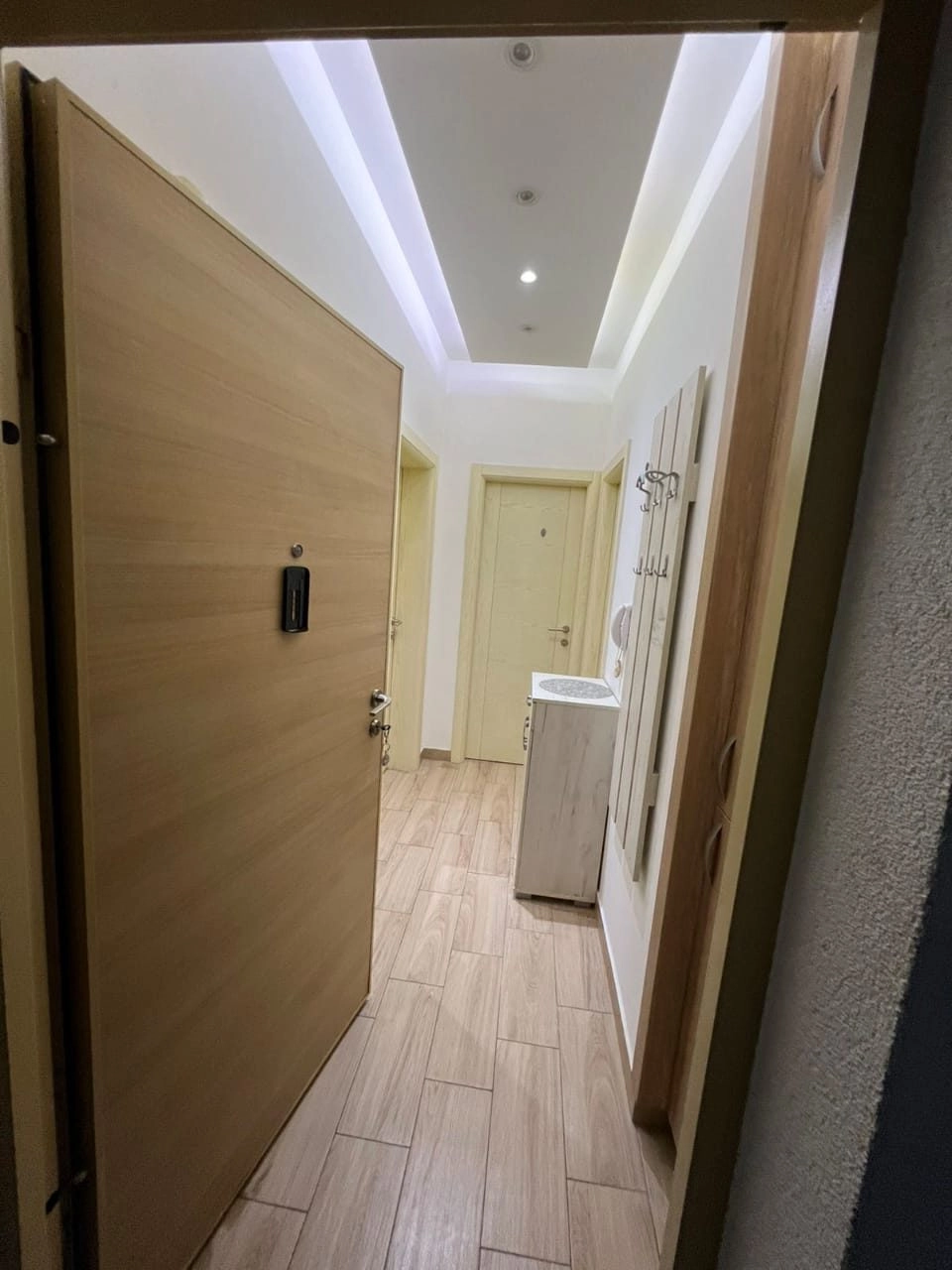 Jednosoban-stan-u-naselju-Masline-Podgorica-6 Namješten jednosoban stan, Masline, Podgorica — fotografija 7