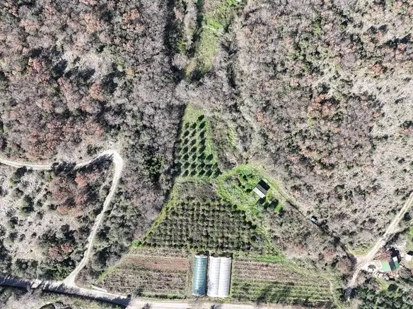 Plac 6.000 m² – Ulcinj — fotografija 3
