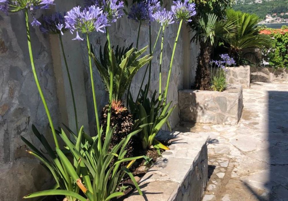 Kuca-sa-bazenom-u-Prcanju-Kotor-10 Kuća 273 m² – Prčanj, Kotor — fotografija 11