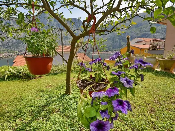 Hotel 450 m² – Muo, Kotor — fotografija 4