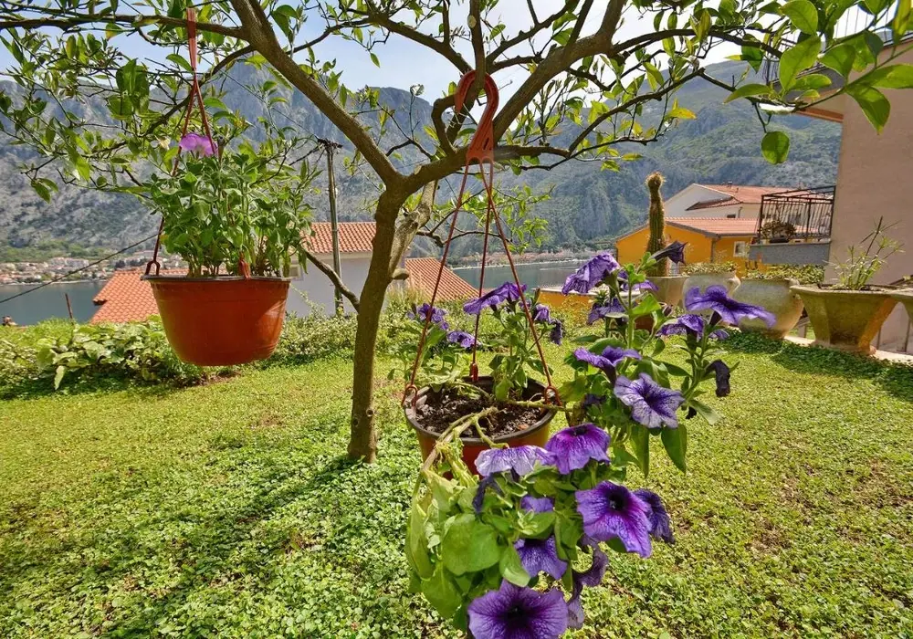 Hotel-sa-pogledom-na-more-u-Muu-Kotor-3 Hotel 450 m² – Muo, Kotor — fotografija 4