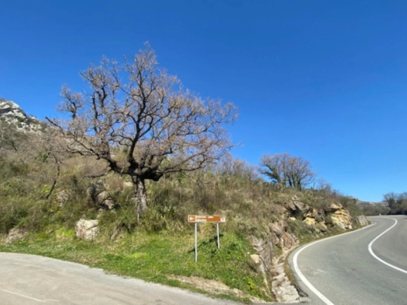 Plac 5.914 m² – Budva — fotografija 4
