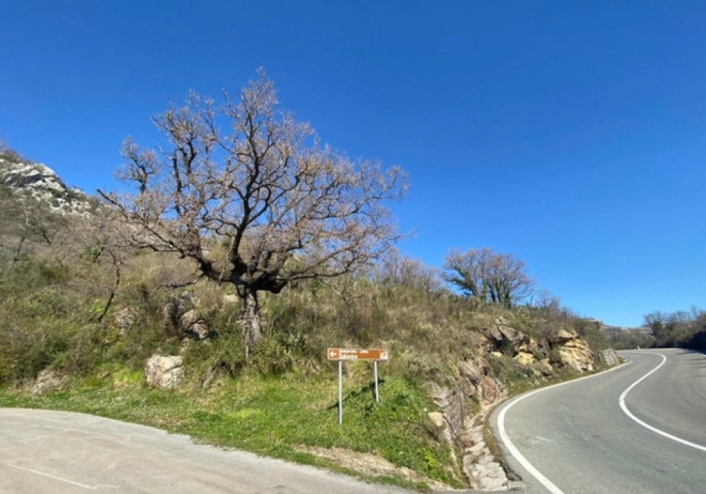 Plac-za-gradnju-sa-pogledom-na-more-Budva-3 Plac 5.914 m² – Budva — fotografija 4