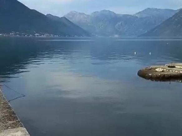 Plac 759 m² – Dobrota, Kotor — fotografija 11