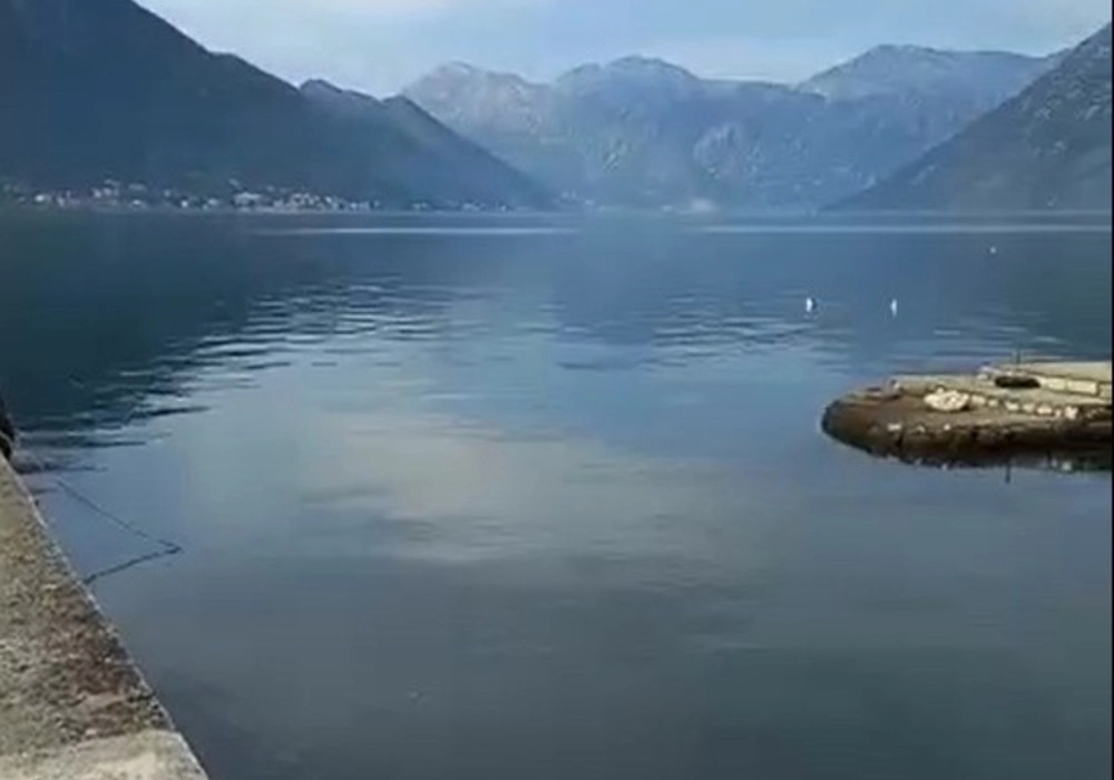 Plac-s-dvospratnom-vilom-u-Dobroti-Kotor-10 Plac 759 m² – Dobrota, Kotor — fotografija 11