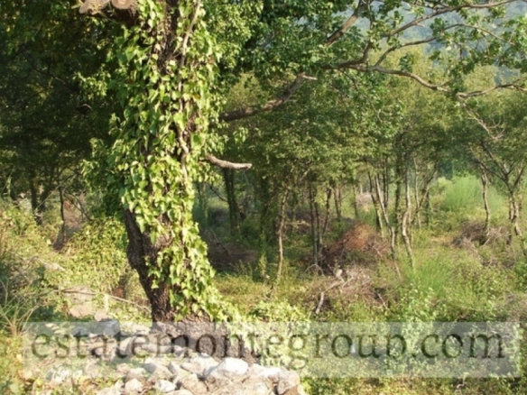 Plac 7.137 m² – Kuljače, Budva — fotografija 3