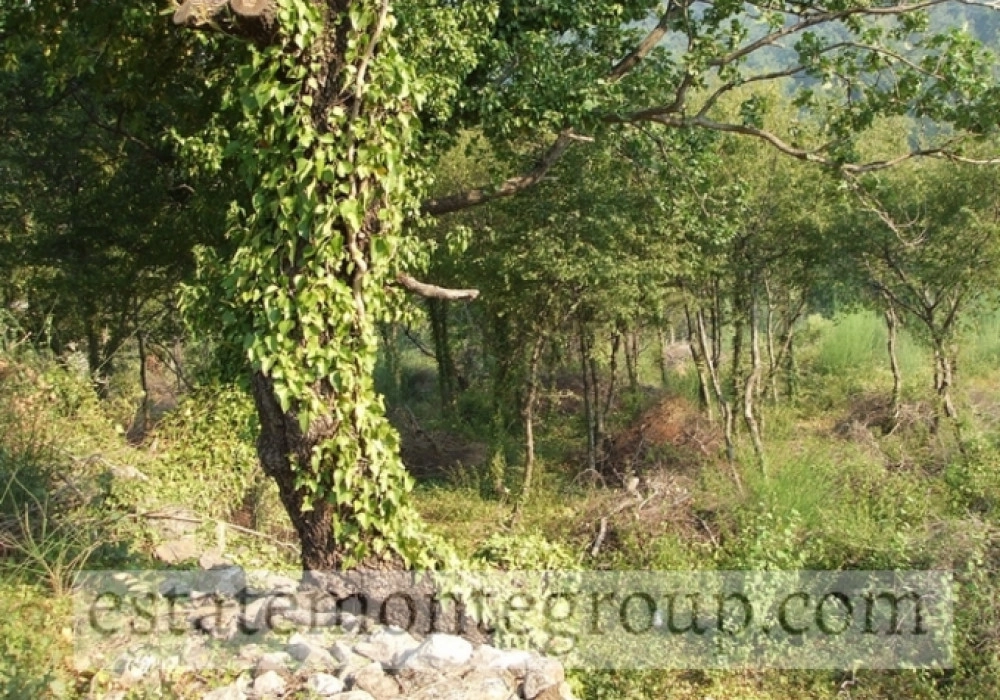 Plac-za-izgradnju-vila-u-Kuljacama-Budva-2 Plac 7.137 m² – Kuljače, Budva — fotografija 3