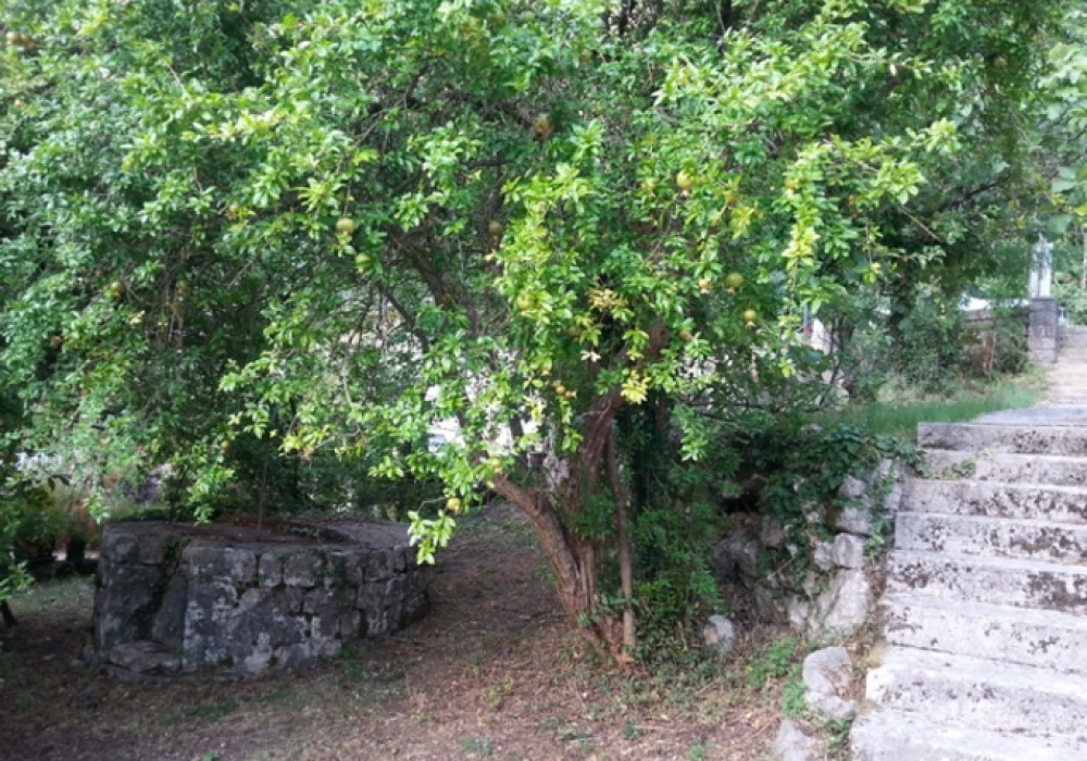 Kamena-kuca-uz-more-u-Dobroti-Kotor-10 Kuća – Dobrota, Kotor — fotografija 11